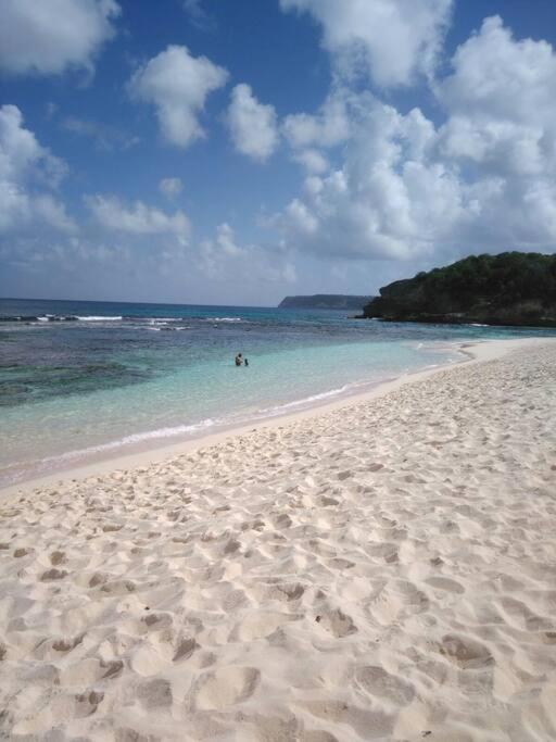 Villa Sous Le Manguier-Anse Bertrand 5Min Plage Eksteriør billede