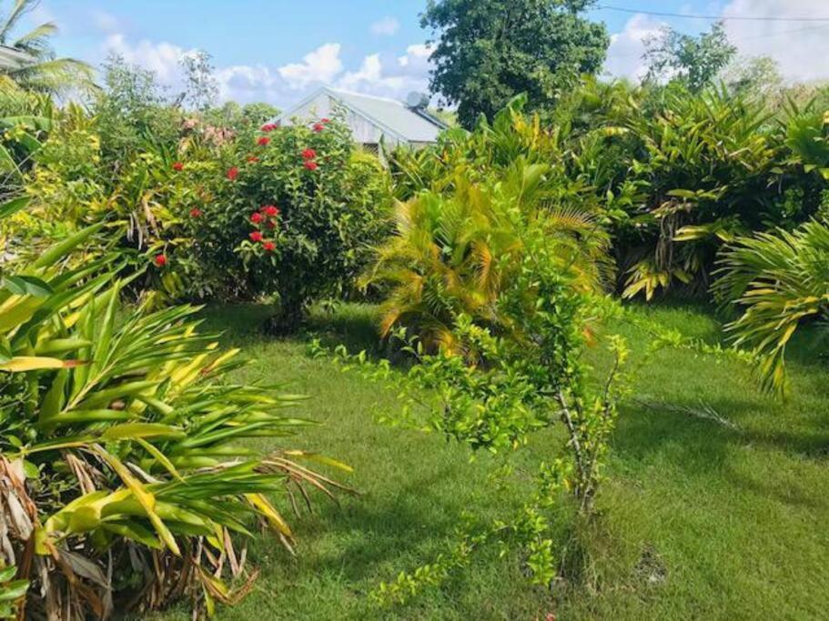 Villa Sous Le Manguier-Anse Bertrand 5Min Plage Eksteriør billede