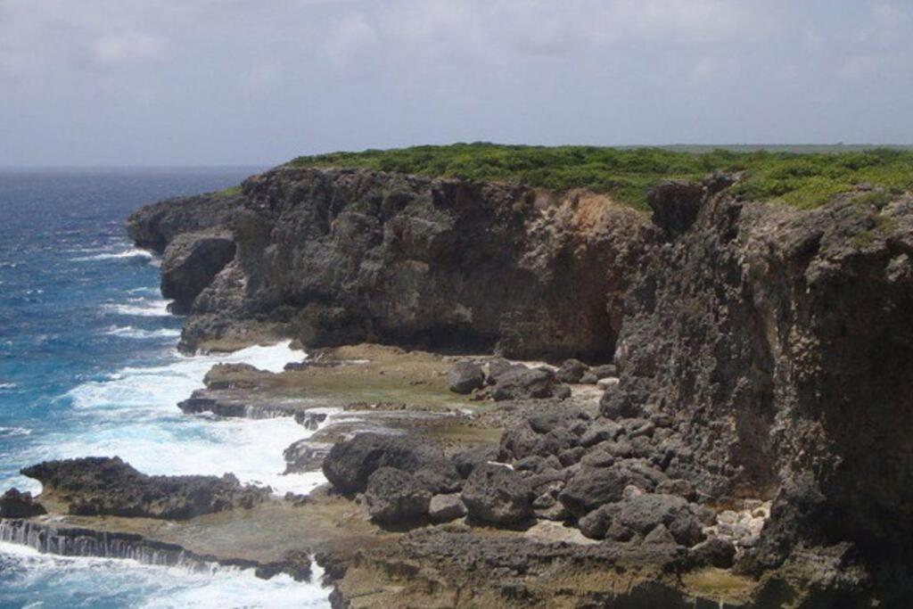 Villa Sous Le Manguier-Anse Bertrand 5Min Plage Eksteriør billede