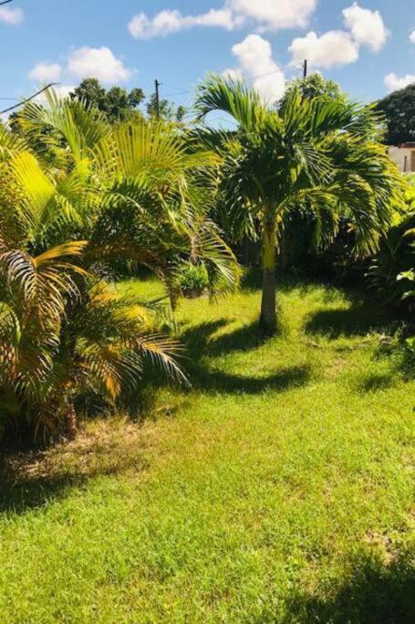 Villa Sous Le Manguier-Anse Bertrand 5Min Plage Eksteriør billede