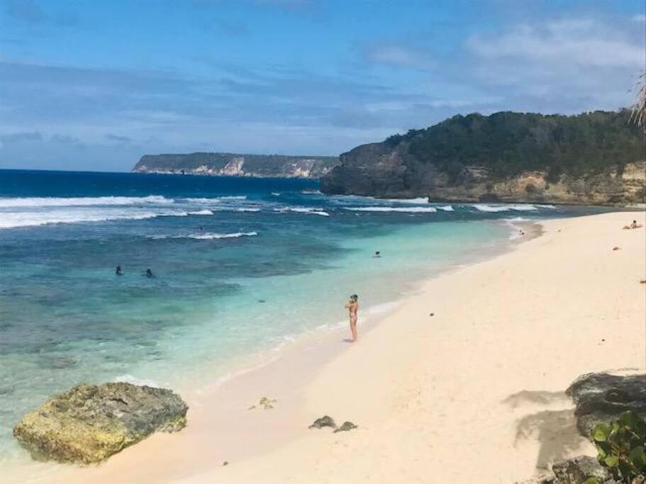 Villa Sous Le Manguier-Anse Bertrand 5Min Plage Eksteriør billede